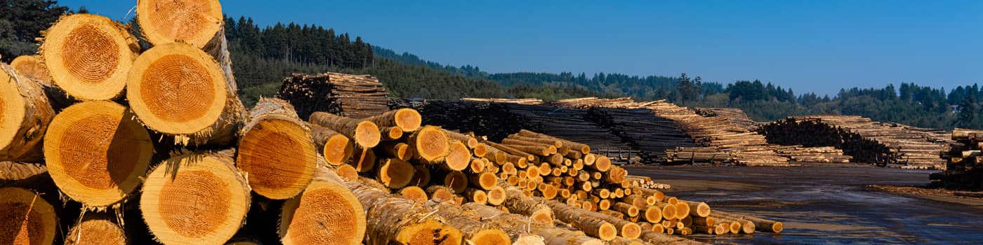 Log decks, or stacked logs