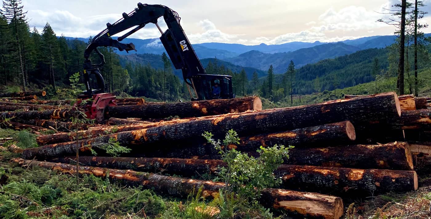 Logging operations