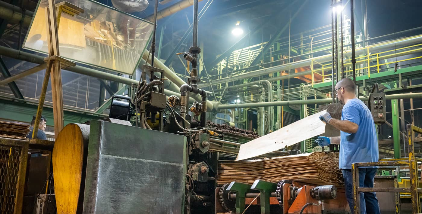 A worker at the South Coast Lumber factory